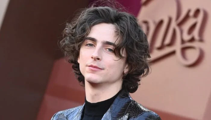 Timothée Chalamet spoke on early career struggles: lost two movie roles